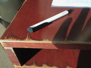 Palais de l Europe Detail