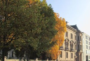 Deutsche Parlamentarische Gesellschaft