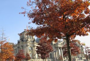 Das Reichstagsgebäude im goldenen Oktober