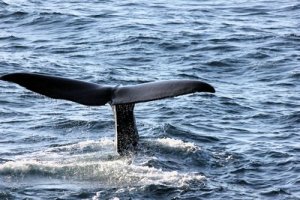 712809_web_r_k_b_by_christian-nesslinger_pixelio-de